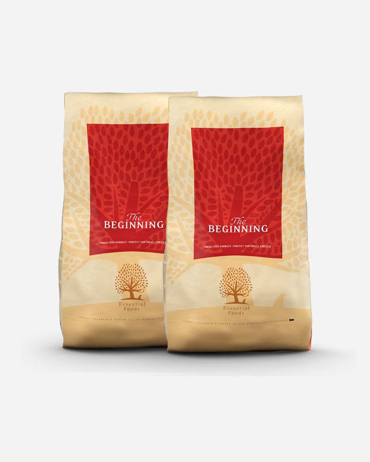 Essential The Beginning hundemad