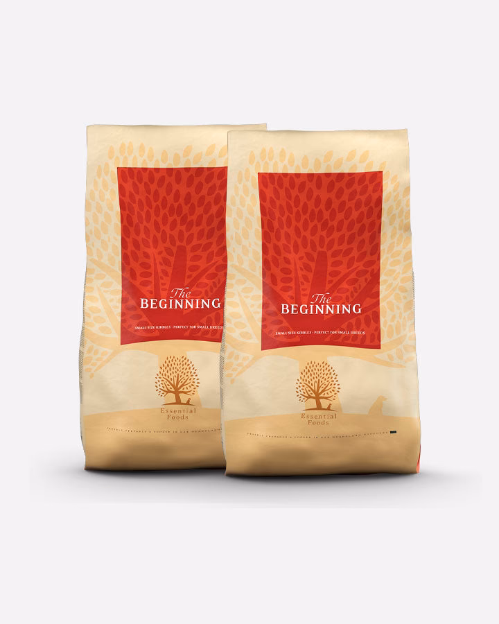 Essential The Beginning hundemad