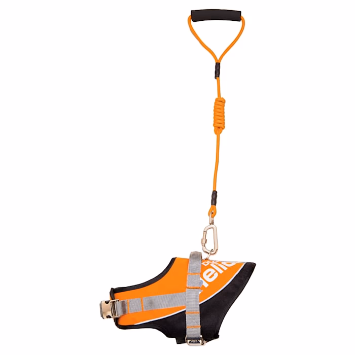 Dog Helios Bark-Mudder hundesnor