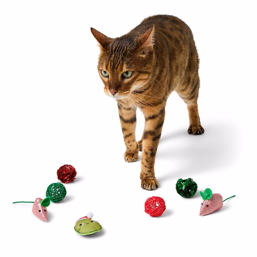 Pets At Home Christmas Jumbo Cane kattelegetøj