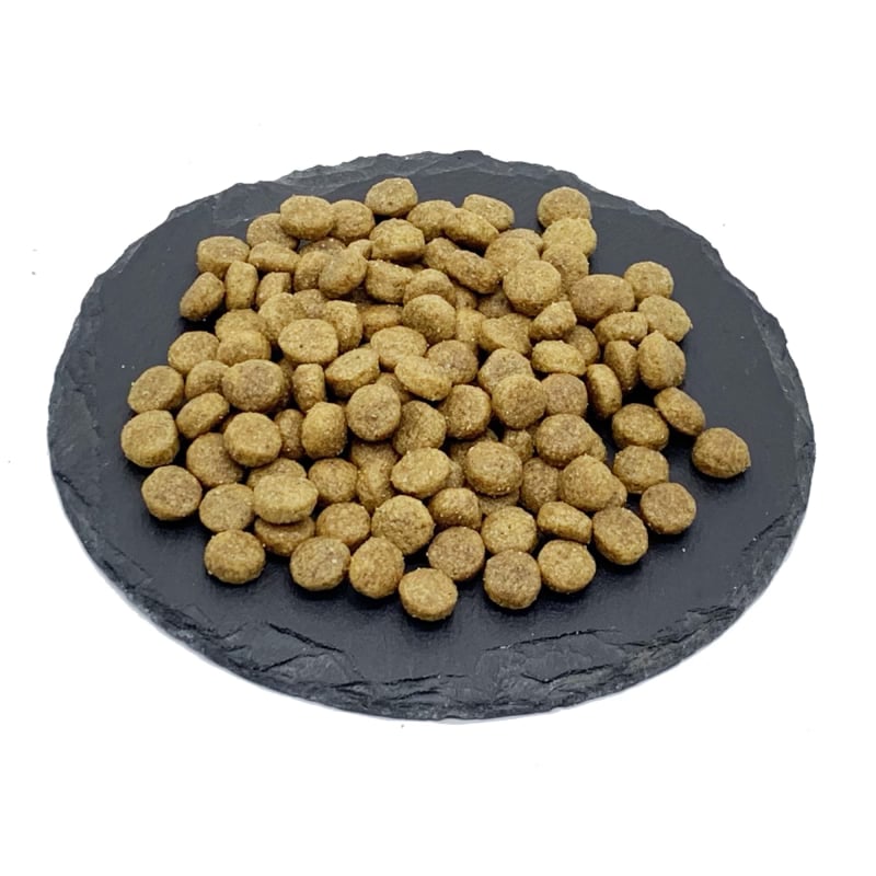 ProBiotic LIVE Senior Mini hundefoder